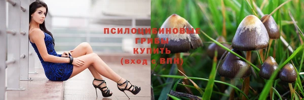 ГАЛЛЮЦИНОГЕННЫЕ ГРИБЫ Абаза