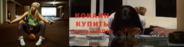 дживик Алексин